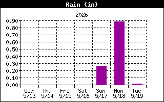 Rain