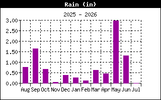 Rain